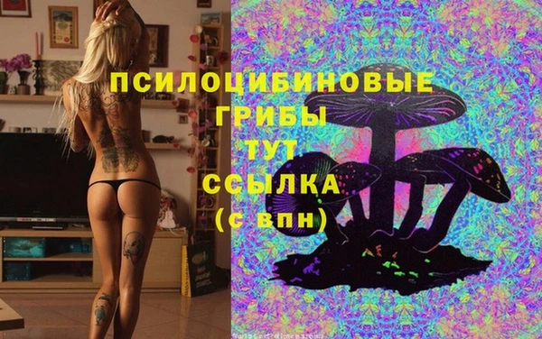 соль курить ск Корсаков