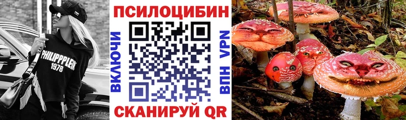 Галлюциногенные грибы прущие грибы  Купить закладки  Боровичи 